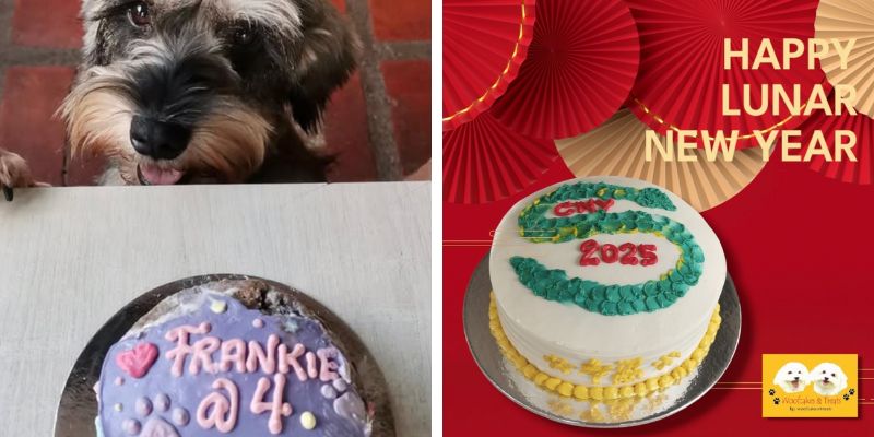 Custom dog cakes by Woofcakes & Treats