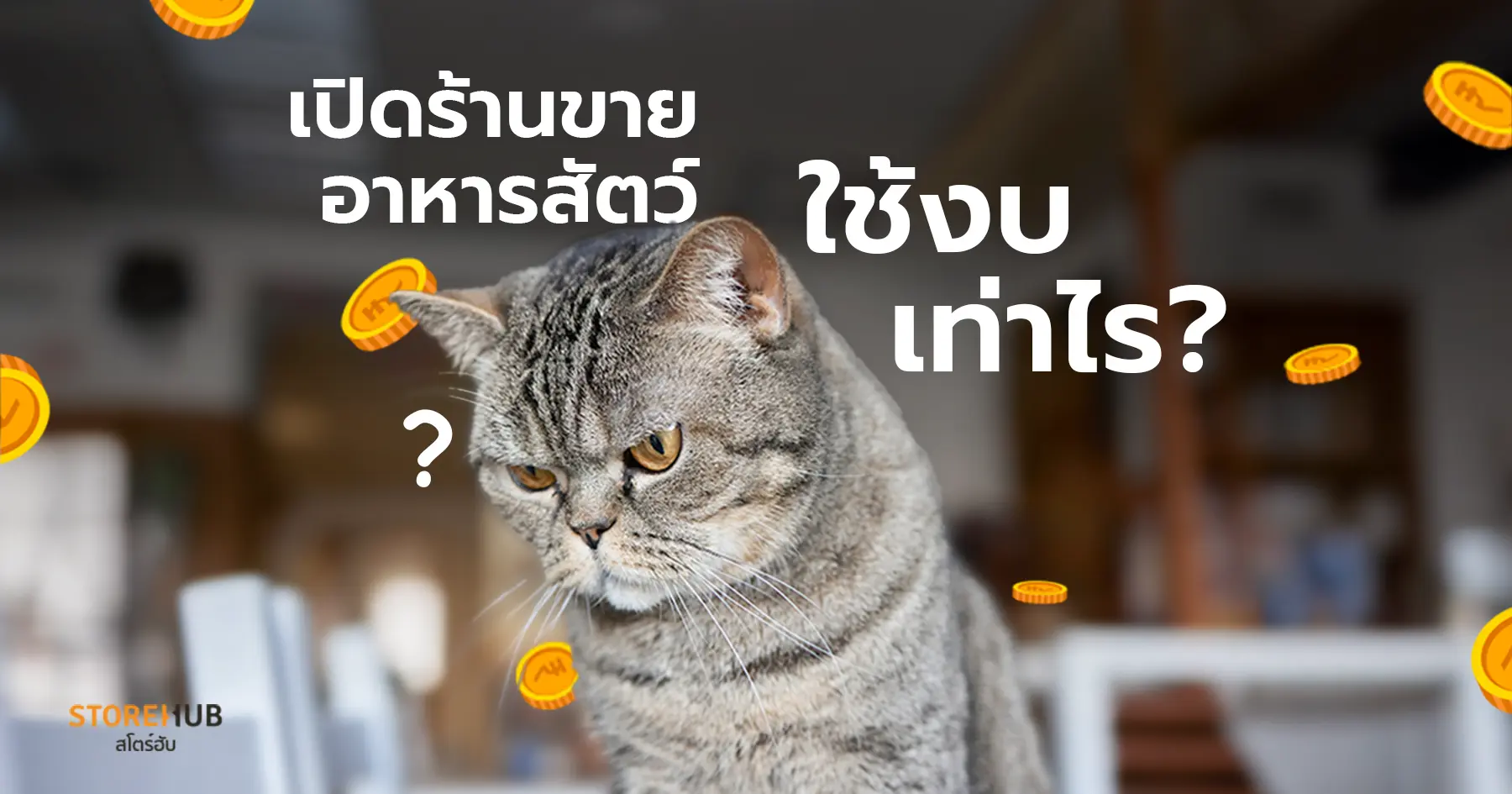 เริ่มธุรกิจร้านขายอาหารสัตว์ให้ไปรอด-ใช้งบประมาณเท่าไหร่
