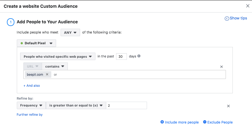 Create website visitors custom audience refine frequency more than 2