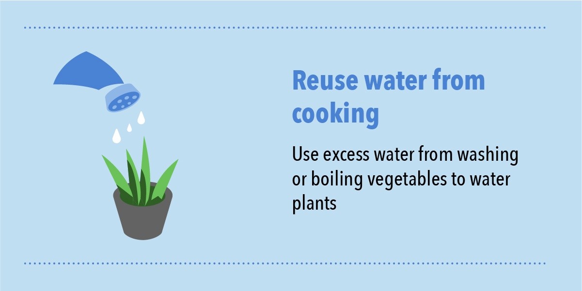 Water outage infographic-watering plant