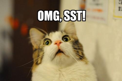 shocked cat